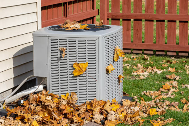 Best HVAC tune-up services  in Woodville, OH